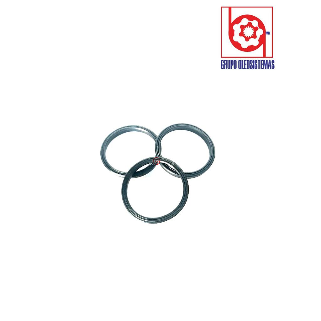 POLYSEAL TIPO B12501.750-250