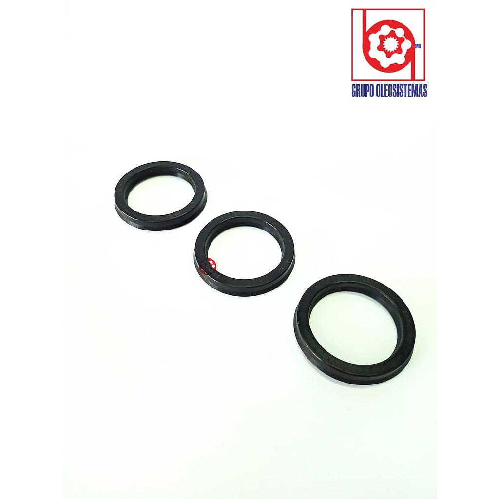 POLYSEAL TIPO B25002.125-375