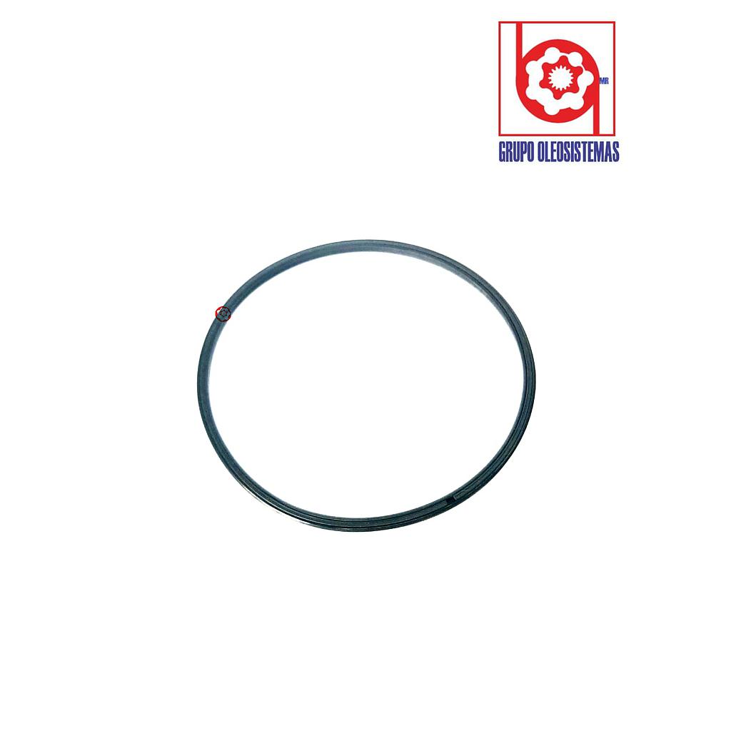 POLYSEAL TIPO B12504.500-187