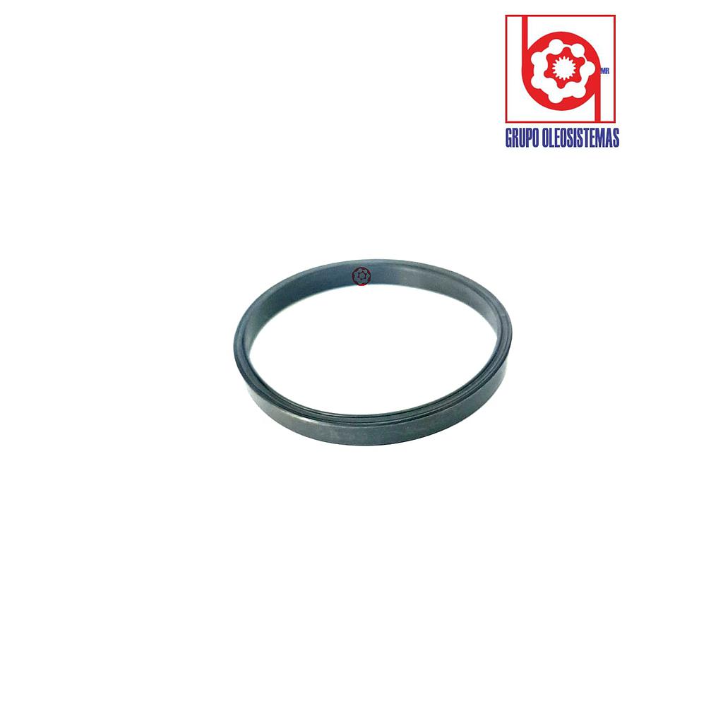 POLYSEAL TIPO B12502.250-250