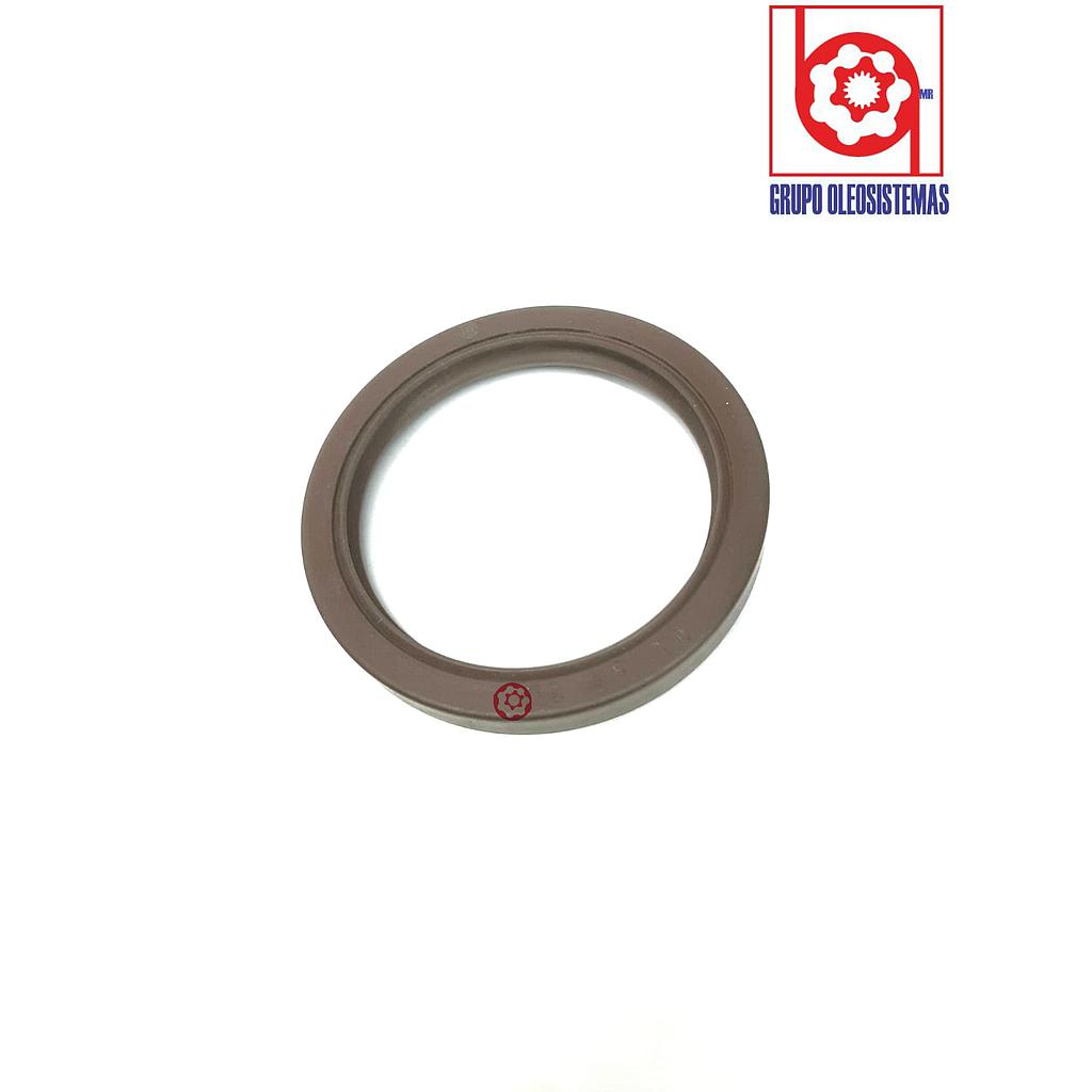 RETEN MILIMETRICO(47X67X10)VITON